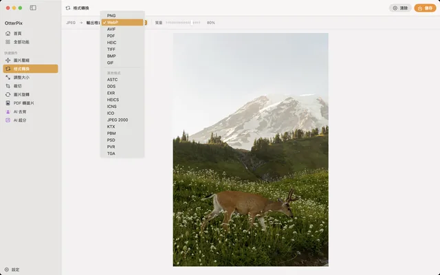 macOS 上的 OtterPix「格式轉換」工具，已載入 HEIC 相片並選擇 JPEG 作為輸出格式。