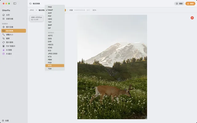 macOS 上的 OtterPix“格式转换”工具，已载入 HEIC 照片并选择 JPEG 作为输出格式。