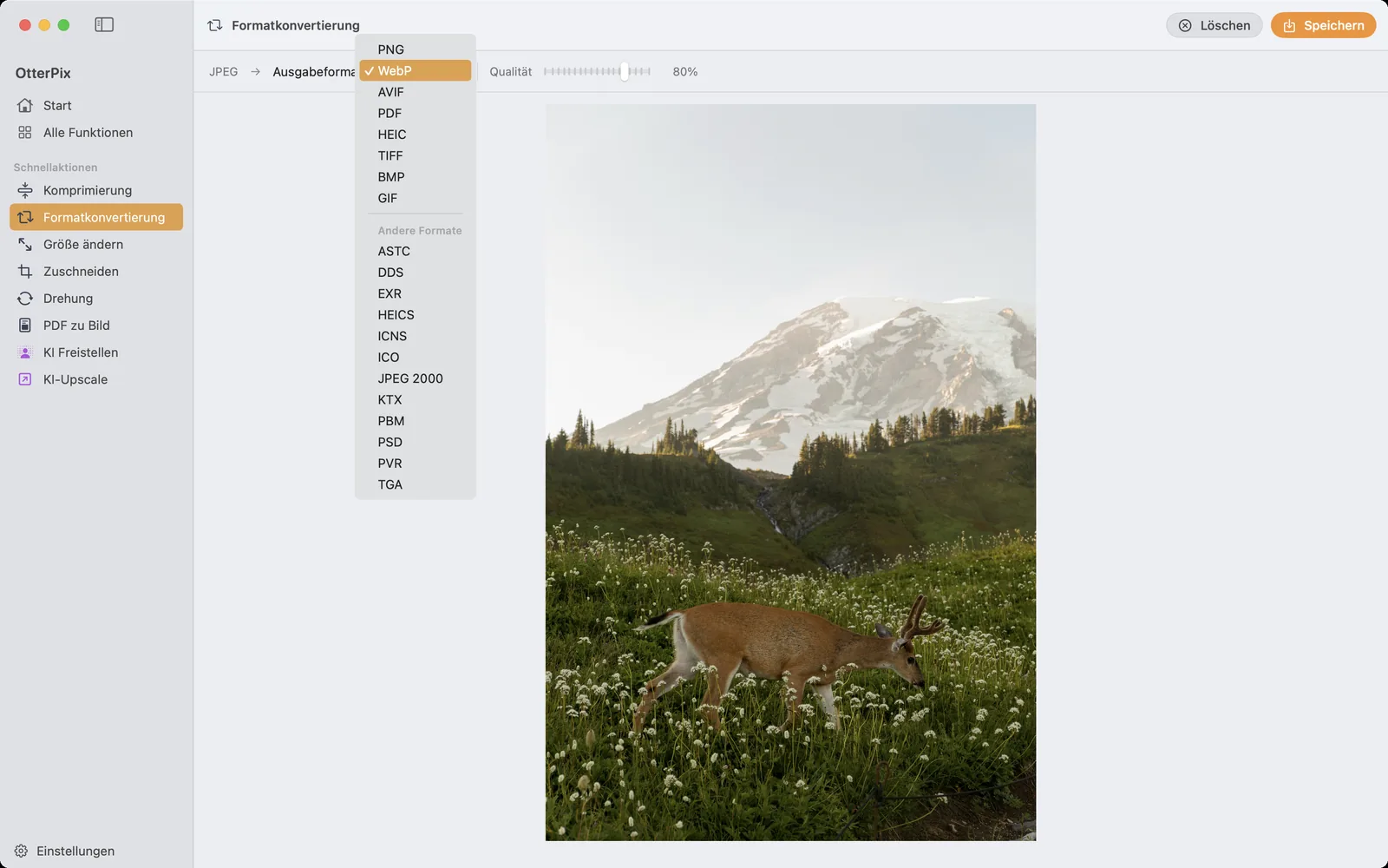Das Werkzeug „Formatkonvertierung“ von OtterPix auf macOS, mit geladenen HEIC-Fotos und JPEG als gewähltem Ausgabeformat.