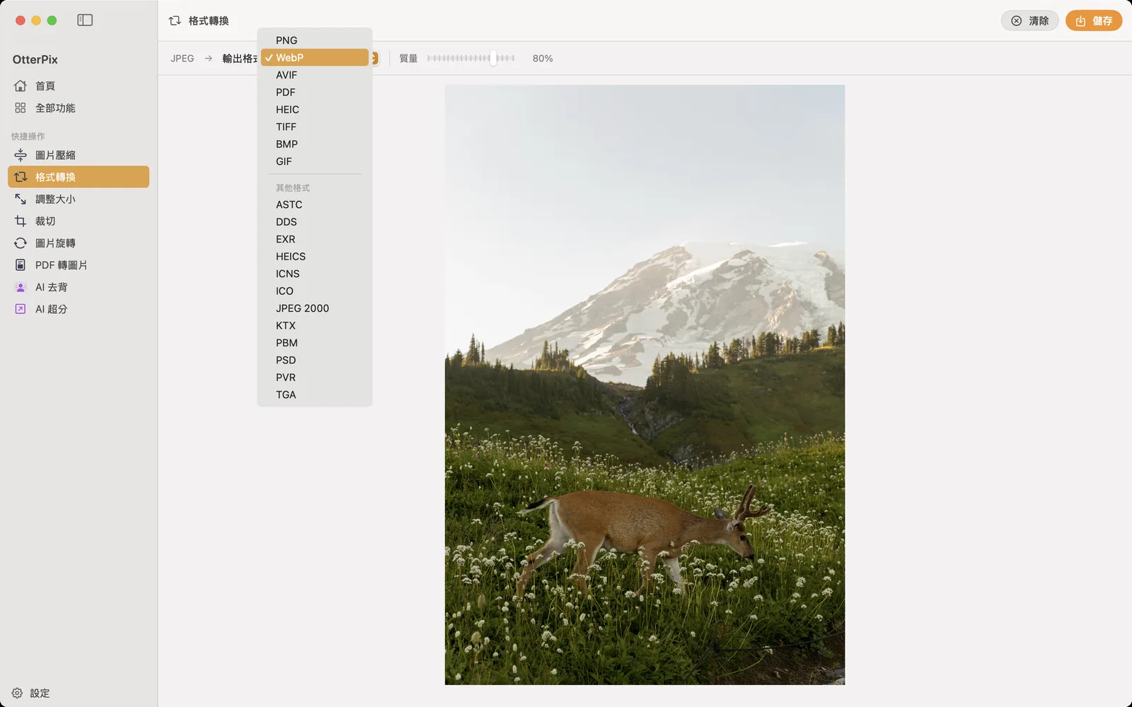 macOS 上的 OtterPix「格式轉換」工具,已載入 HEIC 相片並選擇 JPEG 作為輸出格式。
